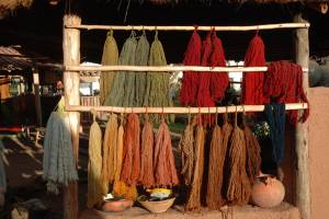 Johnson County Herb Society Natural Dyes Workshop