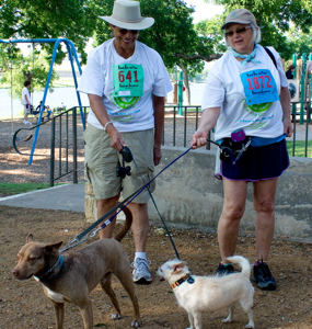 GSDFW Run for the Environment dog walkers