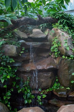 Fort Worth Botanic Garden Conservatory waterfall