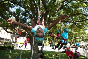 Tree climbers at Earth Day Texas