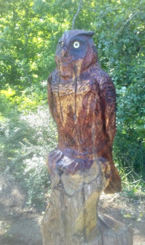 Owl carving on White Rock Creek Trail