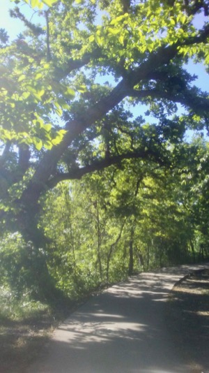White Rock Creek Trail