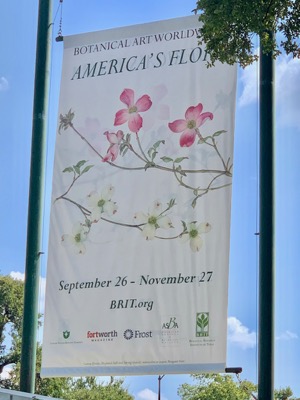 America's Flora
