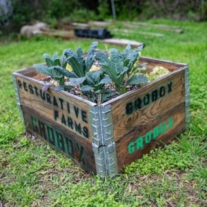 Restorative Farms Gro Box