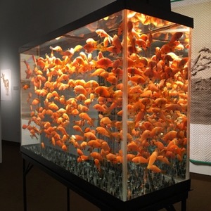 Helen Altman, Goldfish