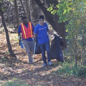 Hines Park cleanup