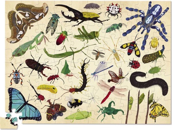 Insect puzzle