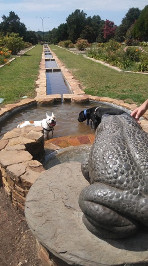 Kiest Park frog fountain