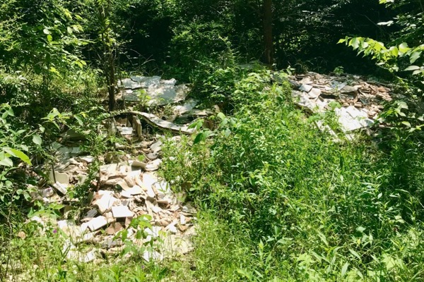 Illegal dumping at McCommas Bluff Preserve