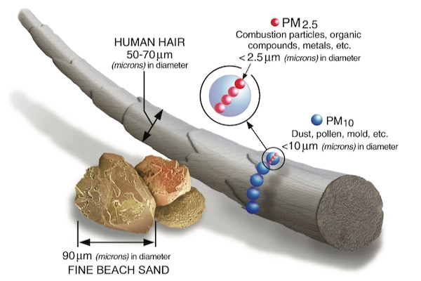 Particulate Matter illustration by EPA
