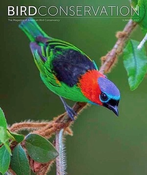 American. Bird Conservancy magazine