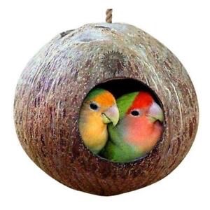 coconut bird house