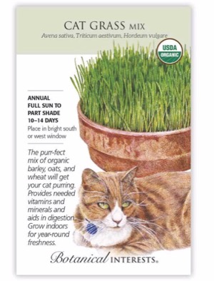 Organic cat grass