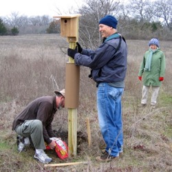Spring Creek Forest Preserve bluebird box