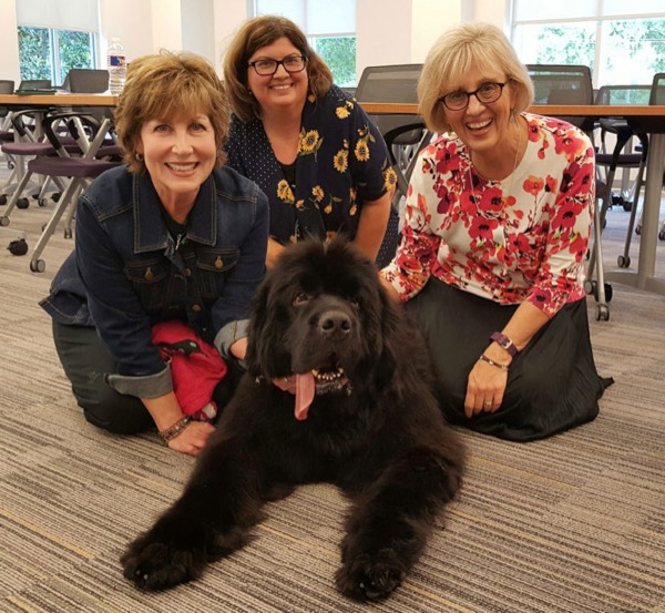 TCU faculty with therapy dog