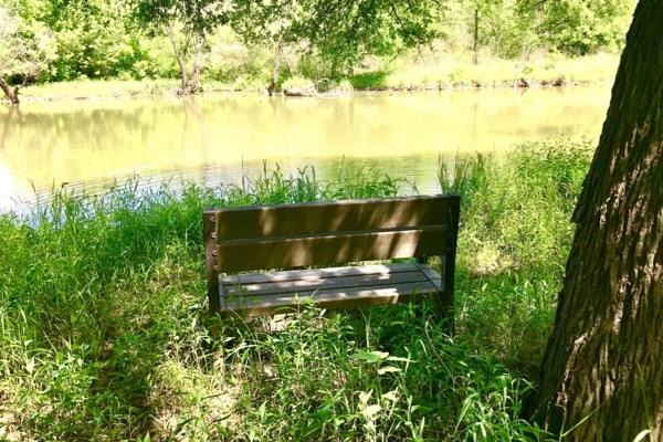 Trinity Forest Trail bench