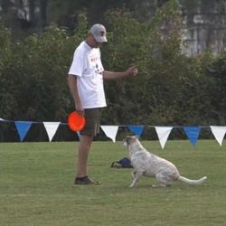 Tom Kemper and Hank at Skyhoundz Canine Disc Championship
