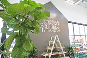 Southern Botanical at TreeHouse