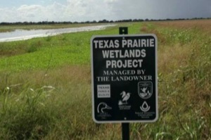 Ducks Unlimited Texas Prairie Wetlands Project