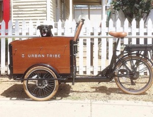 Urban Tribe Cargo Bike