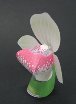 Orchid-Gami Lady Slipper