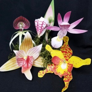 Orchid-Gami