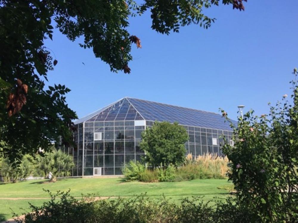 Conservatory Quietly Reopens At Fort Worth Botanic Garden